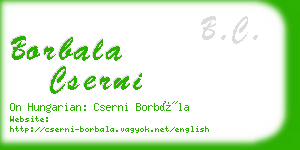 borbala cserni business card